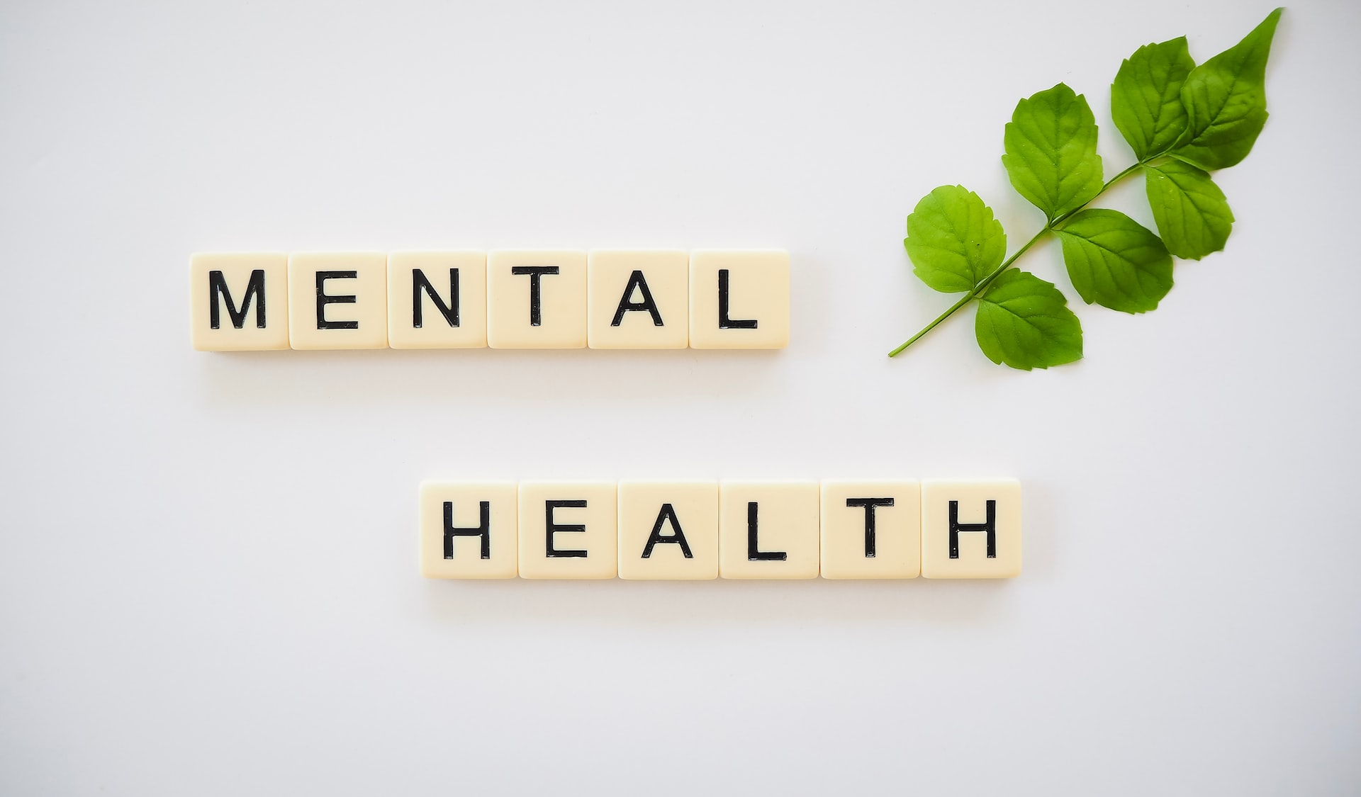 mental health counselling